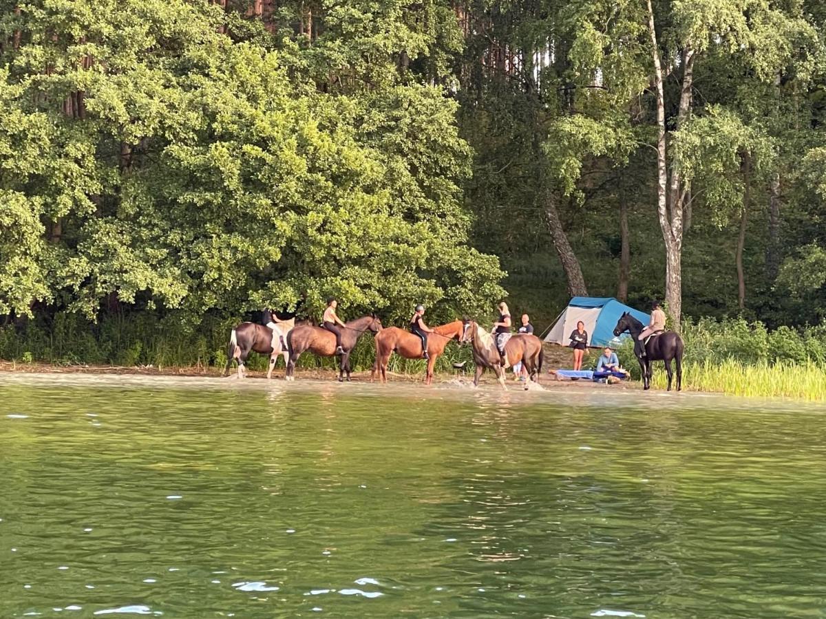 Schadzka W Dwunastce Z Widokiem Na Jezioro Borsk Esterno foto